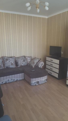 Apartment on Demokraticheskiy 4